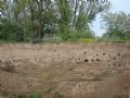 Uit in de Liemers - Beleef Carvium Novum - Foto 2