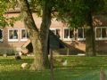 Uit in de Liemers - Open dag Nova zorg en welzijn - Foto 2