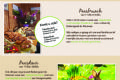Uit in de Liemers - Gezellig Paasbrunch buffet - Foto 1