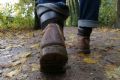 Uit in de Liemers - Historische Eco Excursie  - Foto 1
