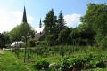 Uit in de Liemers - Bezoek historische moestuin - Foto 1