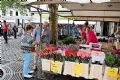 Uit in de Liemers - Warenmarkt Doesburg - Foto 1