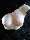 Uit in de Liemers - Expositie Weg van Papier - Foto 3