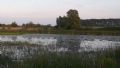 Uit in de Liemers - Excursie Rosandse Polder - Foto 1