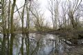 Uit in de Liemers - Struinwandeling in Kandia Noord - Foto 4