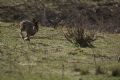 Uit in de Liemers - Struinwandeling in Kandia Noord - Foto 3