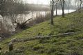 Uit in de Liemers - Struinwandeling in Kandia Noord - Foto 1