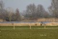 Uit in de Liemers - Struinwandeling in Kandia Noord - Foto 2