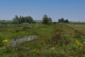 Uit in de Liemers - Excursie Kleine Gelderse Waard - Foto 1