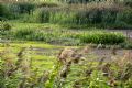 Uit in de Liemers - Herfstexcursie Gimbornhof - Foto 1