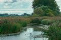 Zevenaar : IVN Natuurcafe - De Liemers - evenementen bezoeken en beleven! - in De Liemers .nl