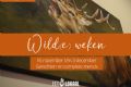 Uit in de Liemers - Wild(e) weken bij Eet-Lokaal - Foto 1