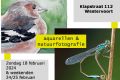Uit in de Liemers - Aquarel & natuurfoto Toine Claessen - Foto 1