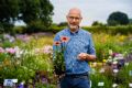 Uit in de Liemers - Schoonheid planten voor/na de bloei - Foto 1