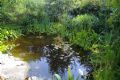 Uit in de Liemers - IVN Natuurcafe - Foto 1
