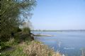 Giesbeek : Wandelen met IVN in de Vale Waard - De Liemers kom DOEN en BEZOEKEN - in De Liemers .nl