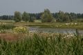 Uit in de Liemers - Ontdek De Kleine Gelderse Waard  - Foto 4