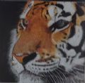Uit in de Liemers - Open Dag Kreatieve Kring W'voort - Foto 4