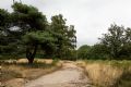 Uit in de Liemers - Sprengwandeling - Foto 1