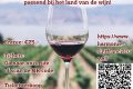 Uit in de Liemers - Music & Wine - Foto 1