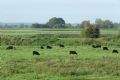 Uit in de Liemers - Fietstocht door het Liemerse Land  - Foto 1