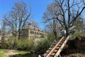 Uit in de Liemers - Monumentenexcursie Huis Sevenaer - Foto 1