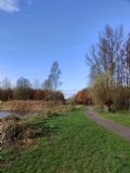 Uit in de Liemers - IVN Winterexcursie Horsterpark - Foto 3