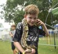 Uit in de Liemers - Doedorp - Foto 4