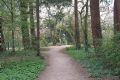 Uit in de Liemers - Beleef de lente in de Gimbornhof  - Foto 1
