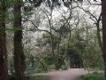 Uit in de Liemers - Beleef de lente in de Gimbornhof  - Foto 2