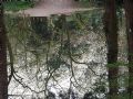 Uit in de Liemers - Beleef de lente in de Gimbornhof  - Foto 3