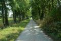 Didam : IVN Excursie Nevelhorst  - Alle evenementen in de categorie Natuur - in De Liemers.nl