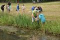 Zevenaar :  IVN Slootjesdag  - De Liemers - evenementen bezoeken en beleven! - in De Liemers .nl