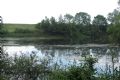 Pannerden : Midzomertocht in Lobberdense Waard - Alle evenementen in de categorie Natuur - in De Liemers.nl