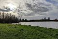 Duiven : Winterwandeling Horsterpark - Alle evenementen in de categorie Natuur - in De Liemers.nl