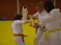 Uit in de Liemers - Karate kennismakingslessen  - Foto 2