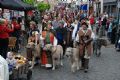 Uit in de Liemers - Doesburgse Hanzefeesten - Foto 1