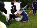Uit in de Liemers - Zeskamp Babberich, dat wil ik zien! - Foto 3